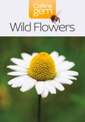 Wild Flowers (ISBN: 9780007178544)