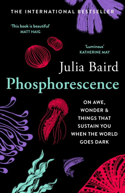 Phosphorescence : On Awe, Wonder & Things That Sustain You When the World Goes Dark (ISBN: 9780008463663)