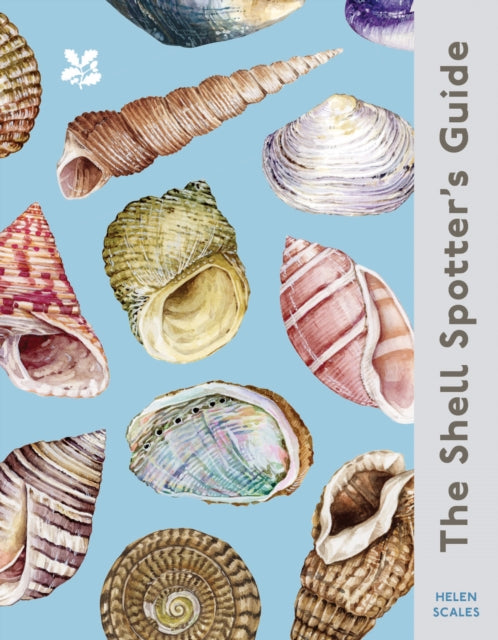 The Shell Spotter’s Guide (ISBN: 9780008641313)