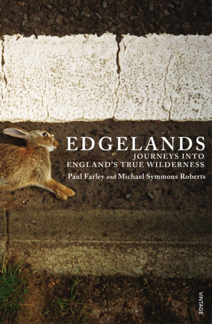 Edgelands (ISBN: 9780099539773)