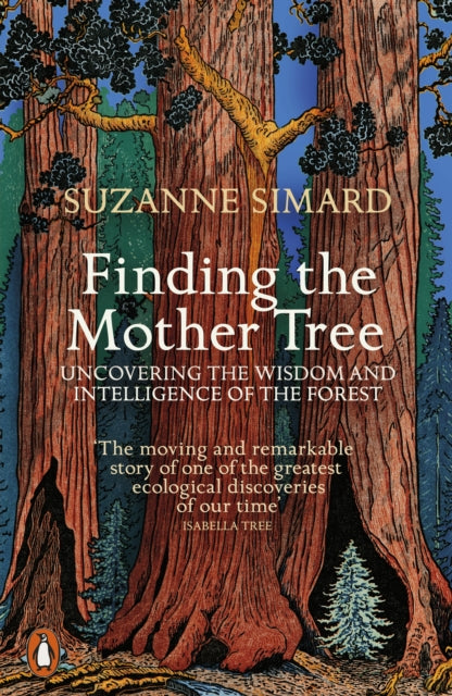 Finding the Mother Tree : Uncovering the Wisdom and Intelligence of the Forest (ISBN: 9780141990286)