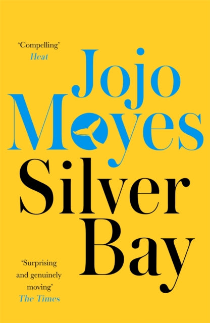 Silver Bay : 'Surprising and genuinely moving' - The Times (ISBN: 9780340895931)