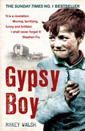 Gypsy Boy : The bestselling memoir of a Romany childhood (ISBN: 9780340977989)