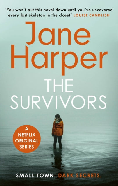The Survivors : 'Without doubt one of the finest crime writers at work today' Chris Whitaker (ISBN: 9780349143743)
