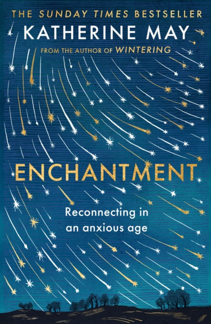 Enchantment : Reconnecting in an Anxious Age (ISBN: 9780571378357)