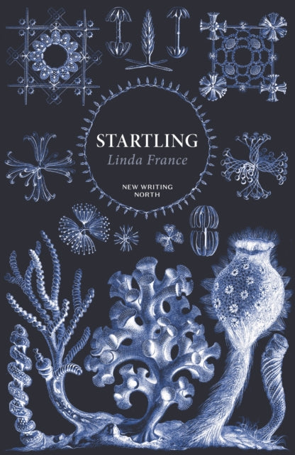 Startling (ISBN: 9780571379026)