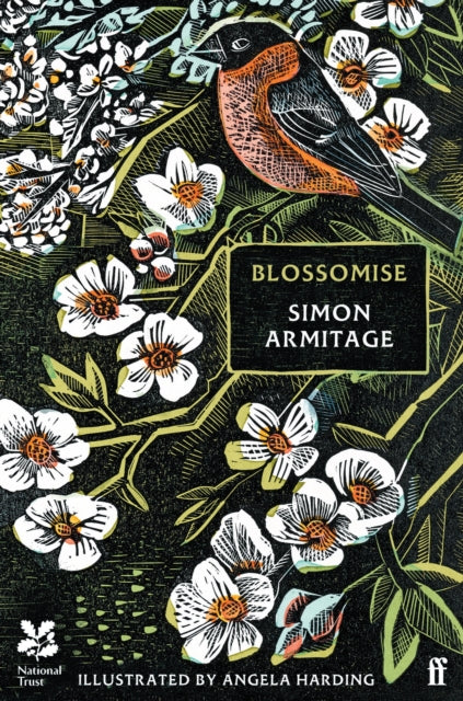 Blossomise (ISBN: 9780571388417)