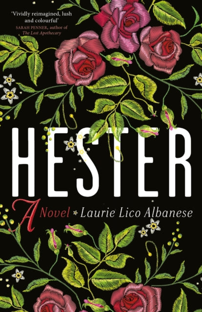 Hester : a bewitching tale of desire and ambition (ISBN: 9780715654842)