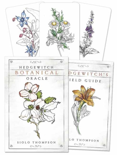 Hedgewitch Botanical Oracle (ISBN: 9780738757537)