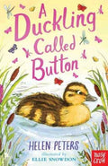 A Duckling Called Button (ISBN: 9780857638366)