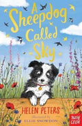 A Sheepdog Called Sky (ISBN: 9780857639110)