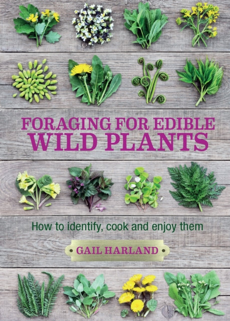 Foraging for Edible Wild Plants : How to identify, cook and enjoy them (ISBN: 9780857845511)