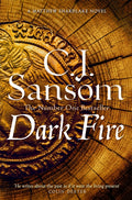 Dark Fire (ISBN: 9781035012305)