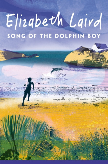 Song of the Dolphin Boy (ISBN: 9781035034710)