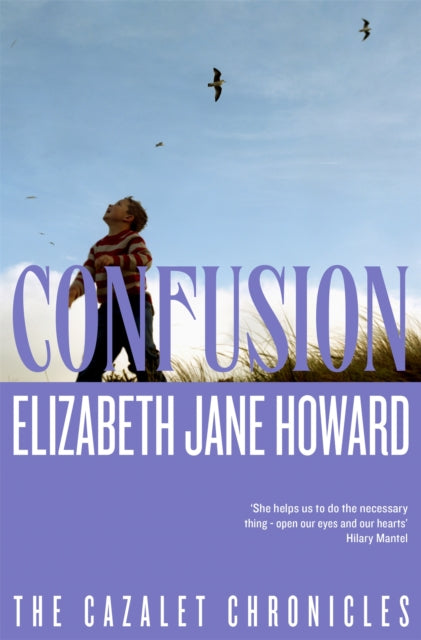 Confusion (ISBN: 9781035042463)