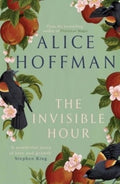 The Invisible Hour (ISBN: 9781398526211)