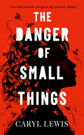 The Danger of Small Things : The YA debut from an award-winning and bestselling Welsh storyteller (ISBN: 9781398549272)