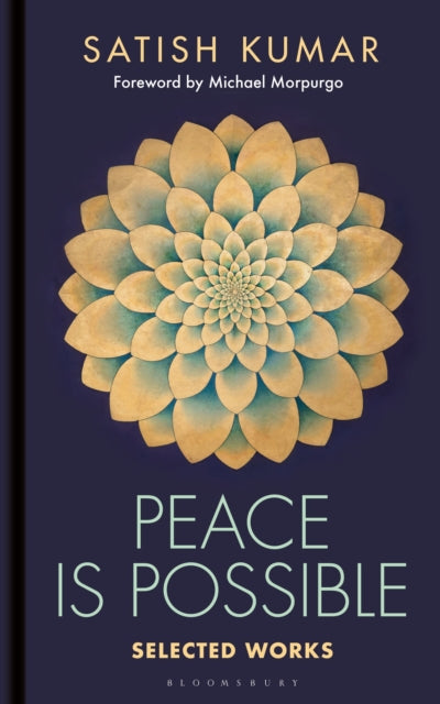 Peace is Possible (ISBN: 9781399424028)