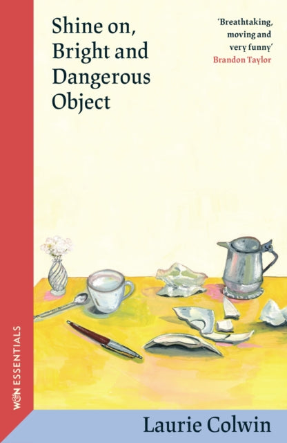Shine on, Bright and Dangerous Object (ISBN: 9781399614450)