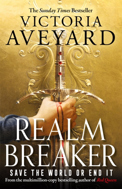 Realm Breaker : The first explosive adventure in the Sunday Times bestselling fantasy series from the author of Red Queen (ISBN: 9781409193975)