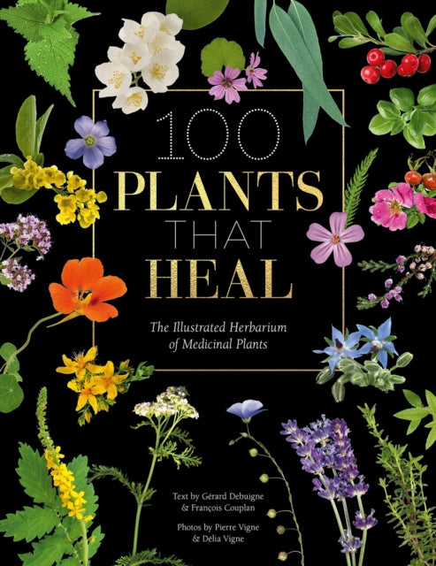 100 Plants That Heal : The Illustrated Herbarium of Medicinal Plants (ISBN: 9781446308776)