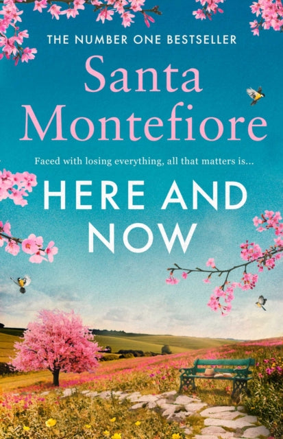 Here and Now : Evocative, emotional and full of life, the most moving book you'll read this year (ISBN: 9781471169694)