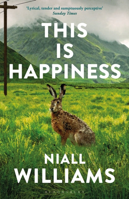 This Is Happiness (ISBN: 9781526609359)