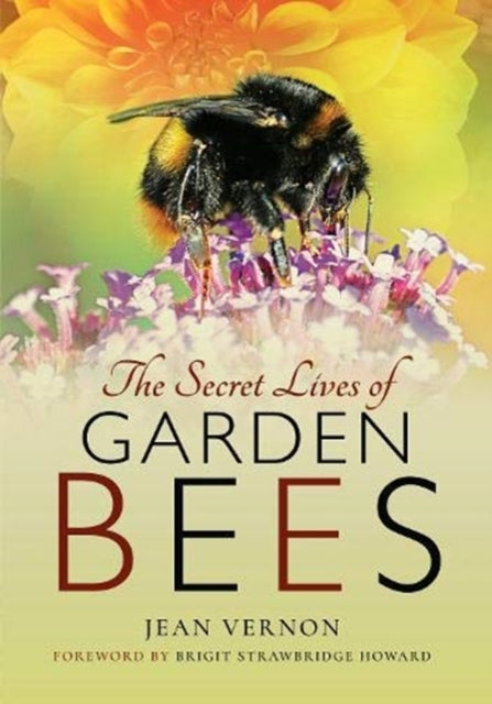 The Secret Lives of Garden Bees (ISBN: 9781526766519)