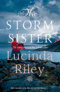 The Storm Sister : Ally's Story (ISBN: 9781529003468)