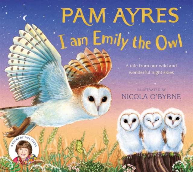 I am Emily the Owl : A tale from our wild and wonderful night skies (ISBN: 9781529067163)