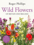 Wild Flowers : of Britain and Ireland (ISBN: 9781529082203)