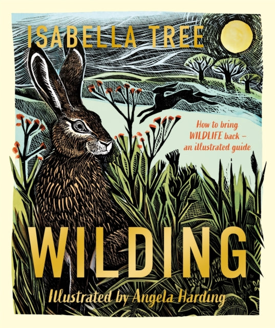 Wilding: How to Bring Wildlife Back - an Illustrated Guide (ISBN: 9781529092844)