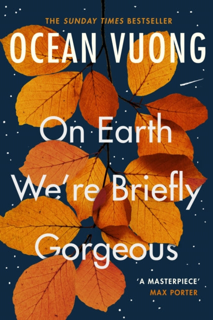 On Earth We're Briefly Gorgeous (ISBN: 9781529110685)