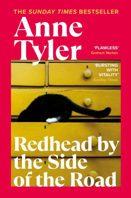 Redhead by the Side of the Road (ISBN: 9781529112450)