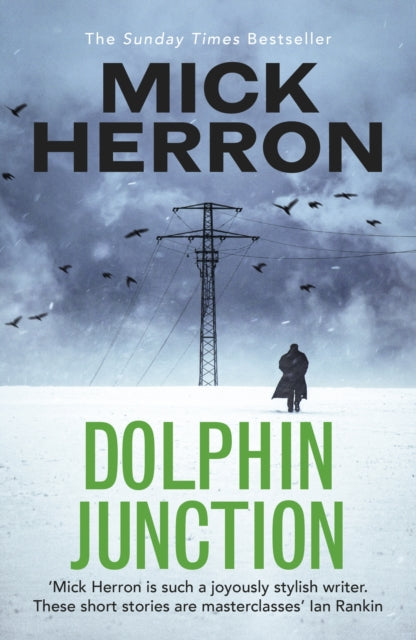 Dolphin Junction (ISBN: 9781529371284)