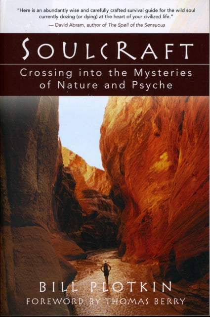 Soulcraft : The Shamanic Journey to Nature and Your Soul's True Purpose (ISBN: 9781577314226)