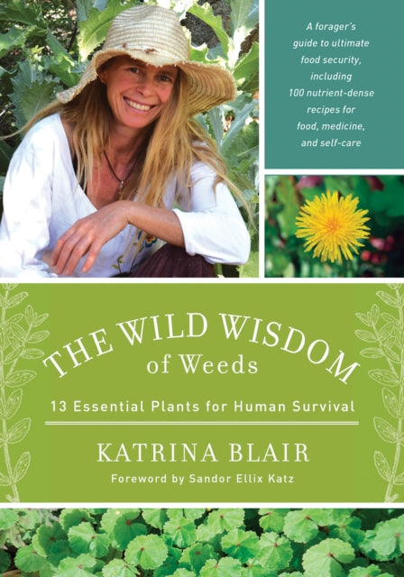 The Wild Wisdom of Weeds : 13 Essential Plants for Human Survival (ISBN: 9781603585163)