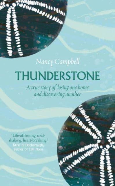 Thunderstone : Finding Shelter from the Storm (ISBN: 9781783966998)