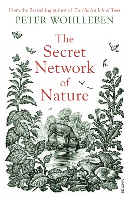 The Secret Network of Nature : The Delicate Balance of All Living Things (ISBN: 9781784708498)