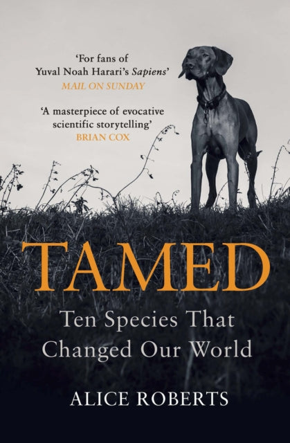 Tamed : Ten Species that Changed our World (ISBN: 9781786090010)