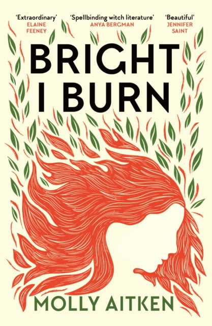 Bright I Burn (ISBN: 9781786898371)