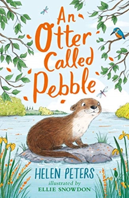 An Otter Called Pebble (ISBN: 9781788001564)