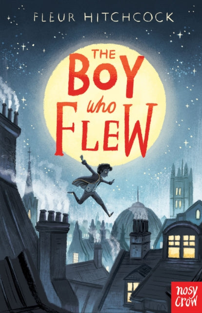 The Boy Who Flew (ISBN: 9781788004381)