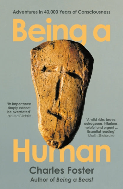 Being a Human : Adventures in 40,000 Years of Consciousness (ISBN: 9781788167185)