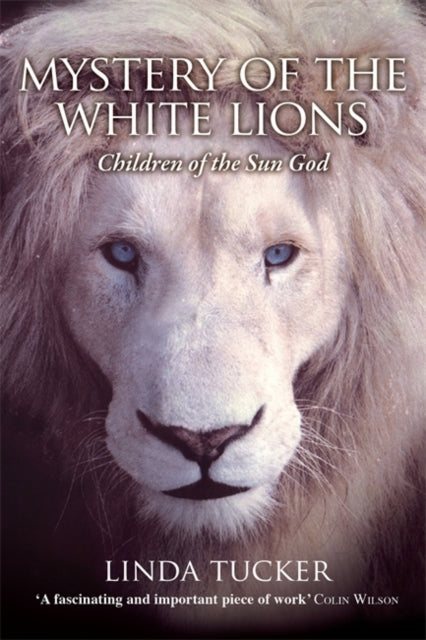 Mystery of the White Lions : Children of the Sun God (ISBN: 9781788178259)
