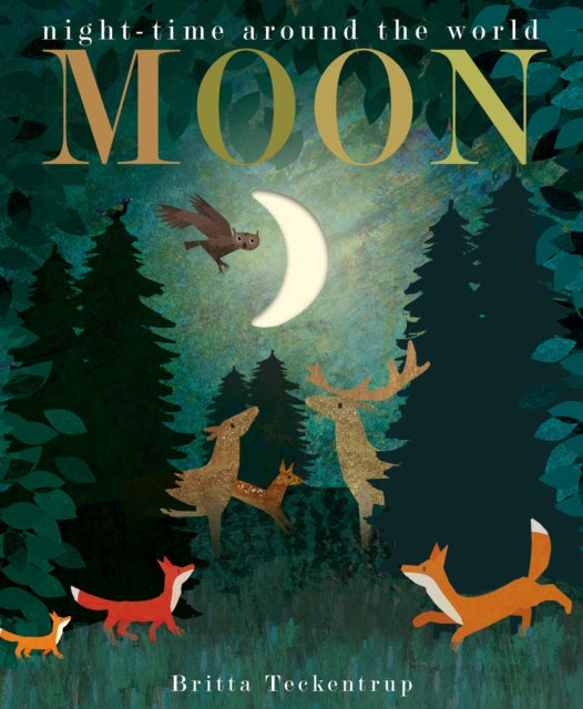 Moon : night-time around the world (ISBN: 9781788817158)