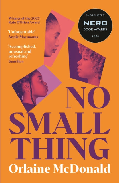 No Small Thing : 'One of the best debut novels I’ve read in recent years' Bernardine Evaristo (ISBN: 9781800815599)