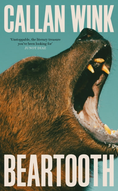 Beartooth (ISBN: 9781803510965)