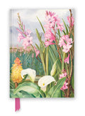 Kew Gardens: Marianne North: Beauties of the Swamps at Tulbagh (Foiled Journal) (ISBN: 9781804176214)