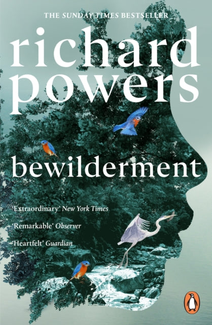 Bewilderment (ISBN: 9781804951668)